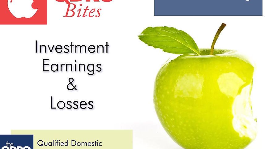 Investment Earnings and Losses